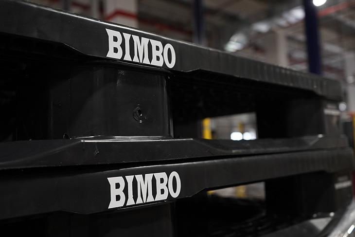 Creamos tarimas con empaques reciclados